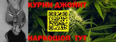 гидра Моздок