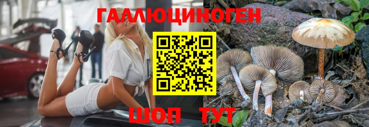 Галлюциногенные грибы мухоморы Коркино