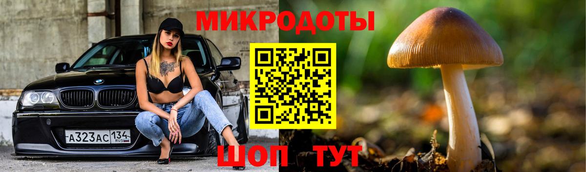 Псилоцибиновые грибы Magic Shrooms  цена   Коркино  Вход с VPN  Галлюциногенные грибы Psilocybine cubensis 
